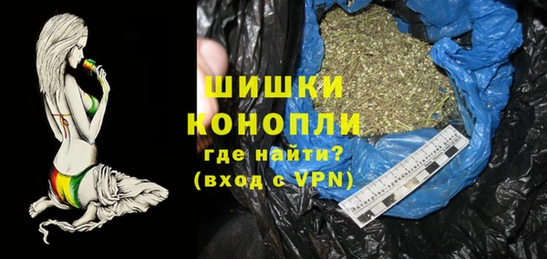 молекула духа Ижевск