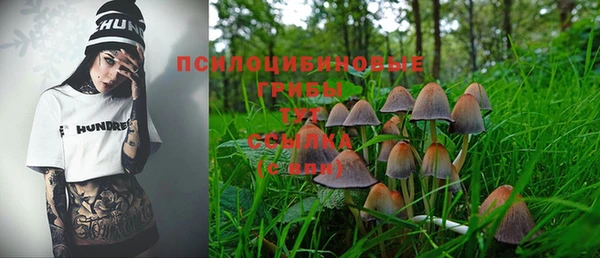 молекула духа Ижевск