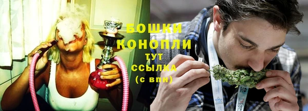 молекула духа Ижевск