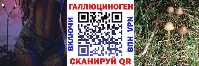 Псилоцибиновые грибы MAGIC MUSHROOMS  Александровск 